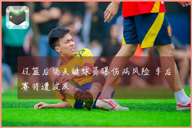 辽篮后场关键球员曝伤病风险 季后赛将遭波及
