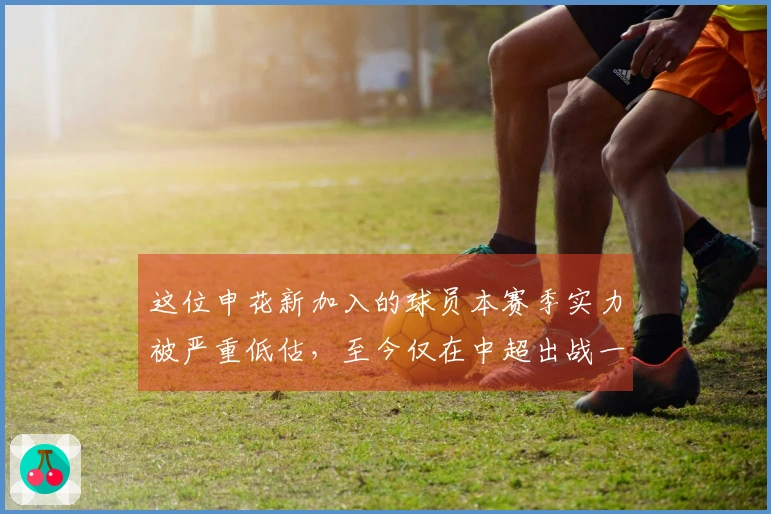 这位申花新加入的球员本赛季实力被严重低估，至今仅在中超出战一次